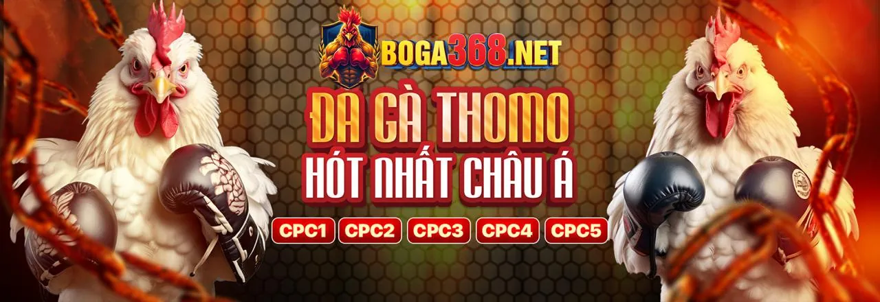 Hình ảnh chính K9cc Casino